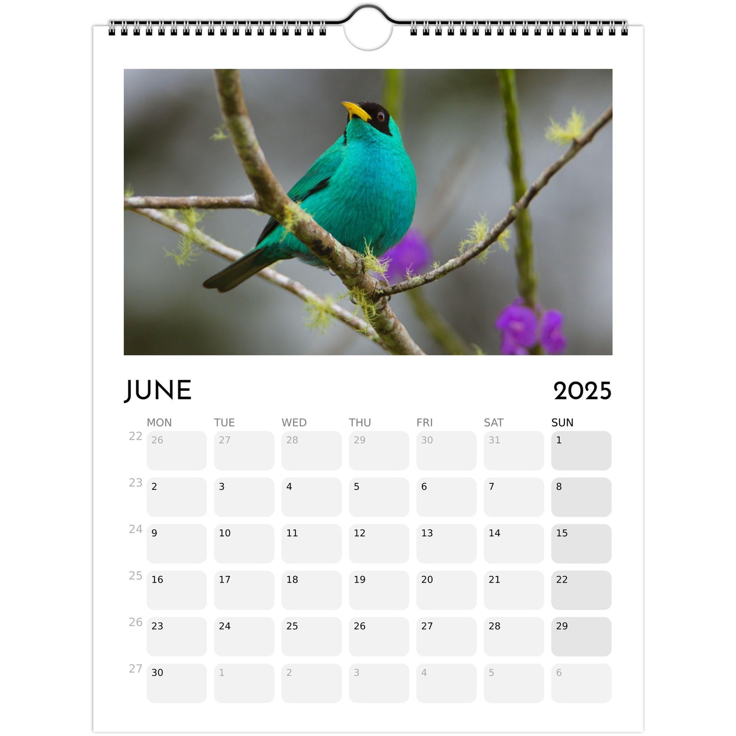 0f54c66e-0c11-4bdc-8ac4-822247abc560