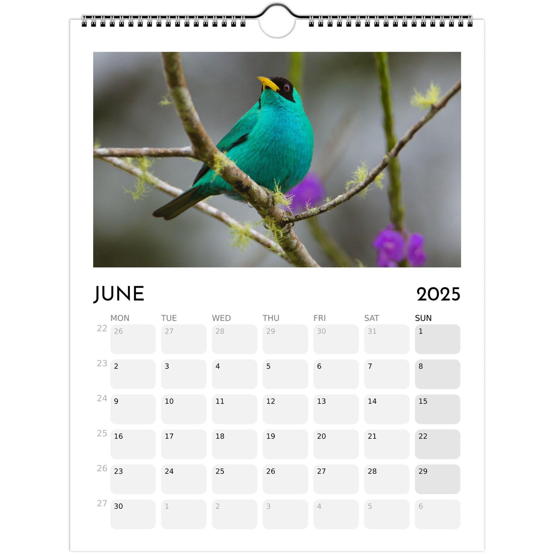 0f54c66e-0c11-4bdc-8ac4-822247abc560