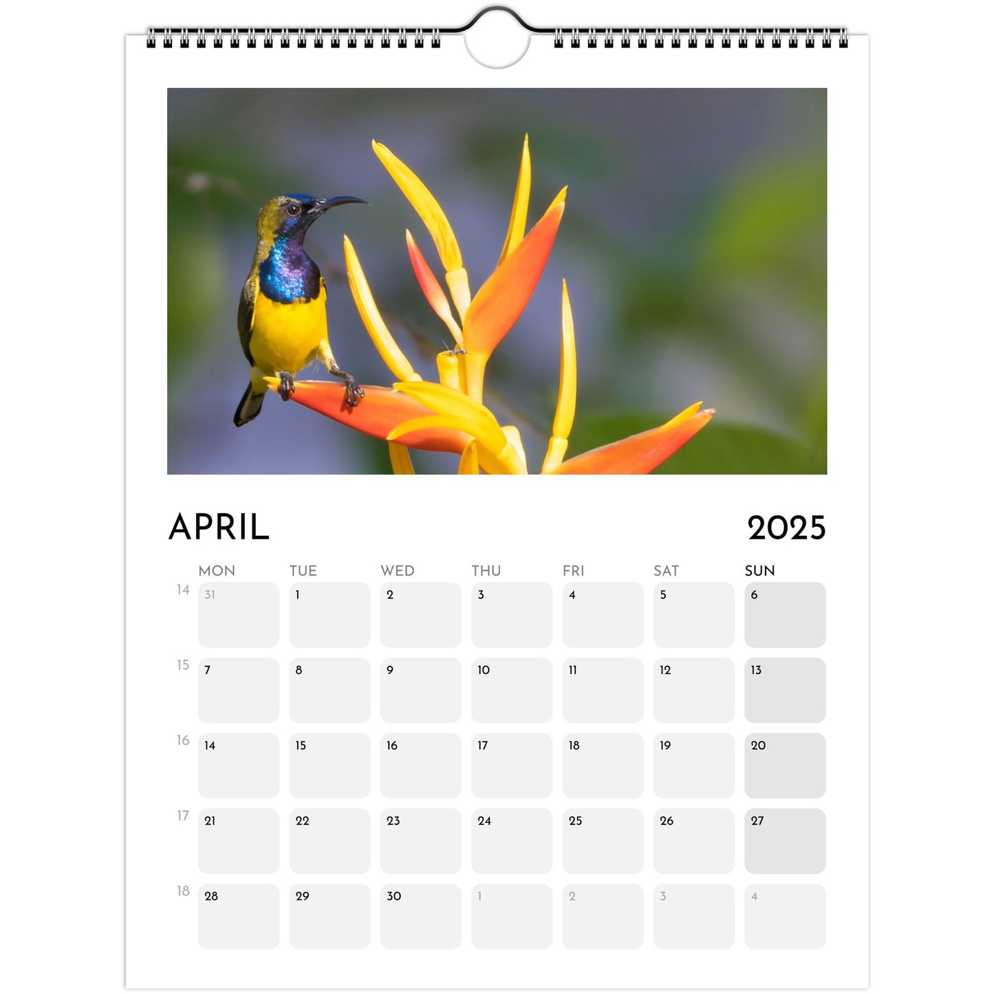 1aa7f062-276c-4869-93be-0b0ee6bc19ea