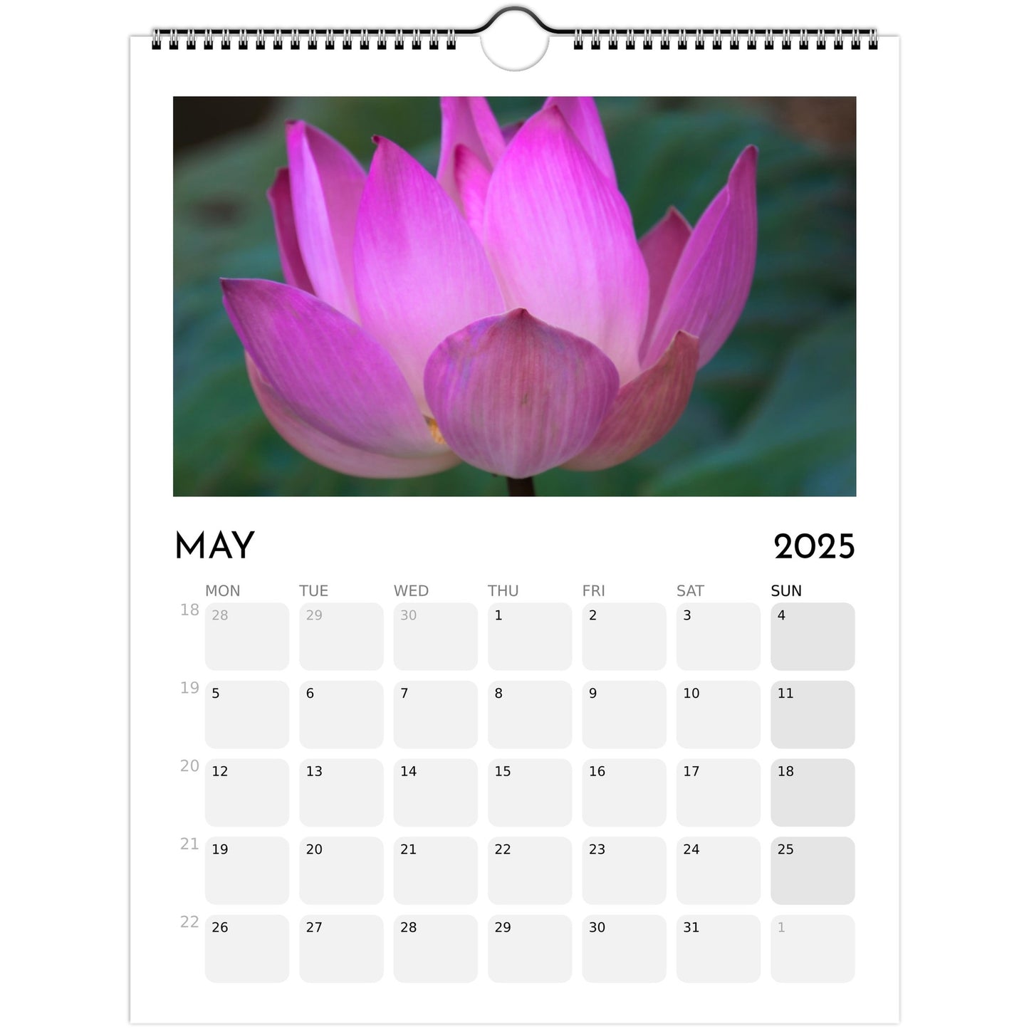 26ef7fe9-96de-472c-ae3f-7d4bf8d0a079