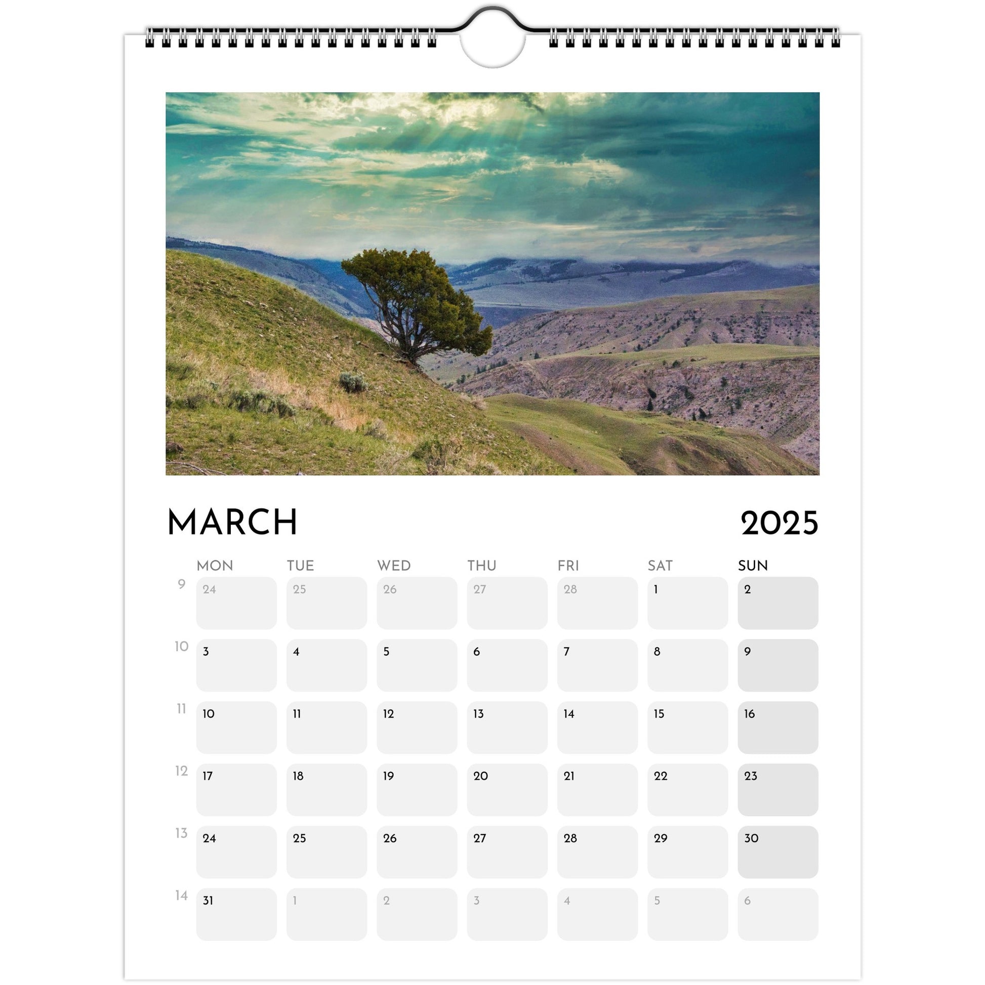 2f133c20-0254-4ff2-a885-3728eb6f16a8