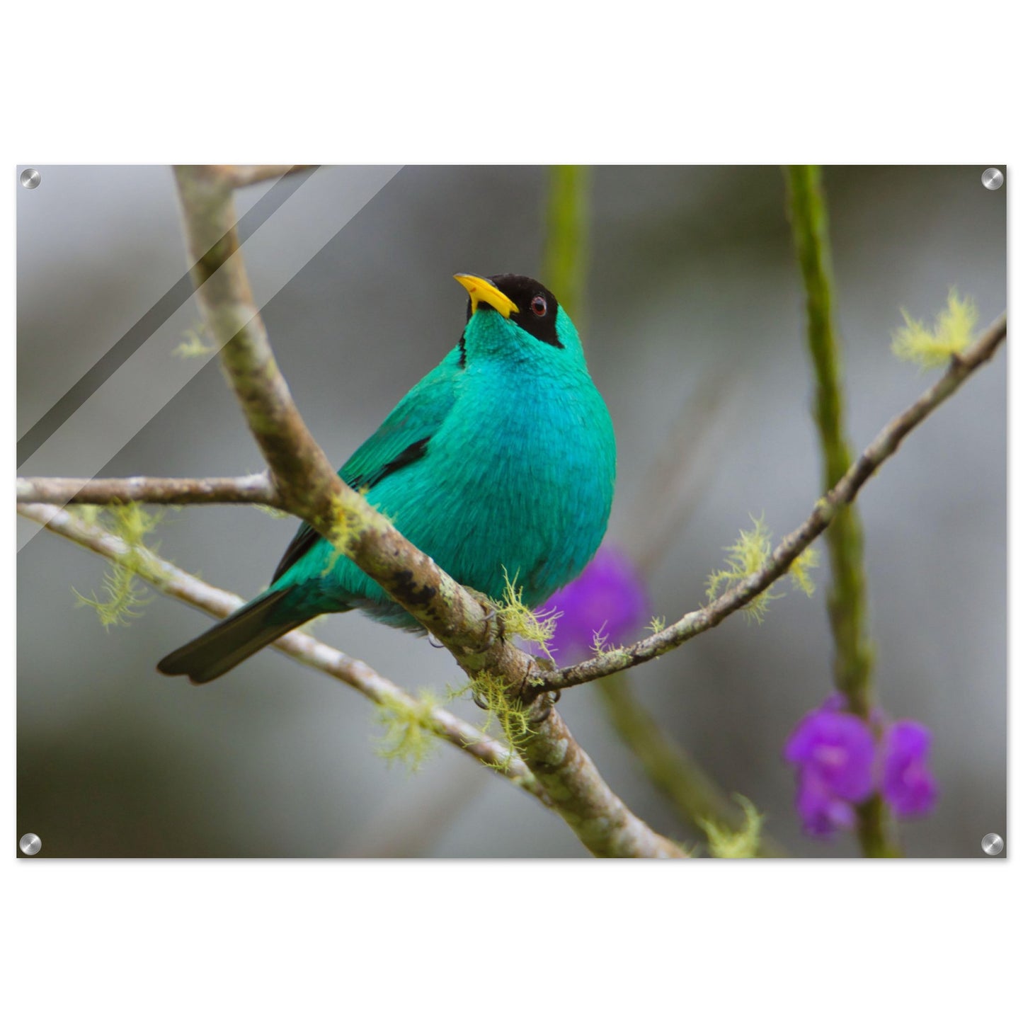 4248a579-3072-4a89-b432-e1cf8d0bf19d