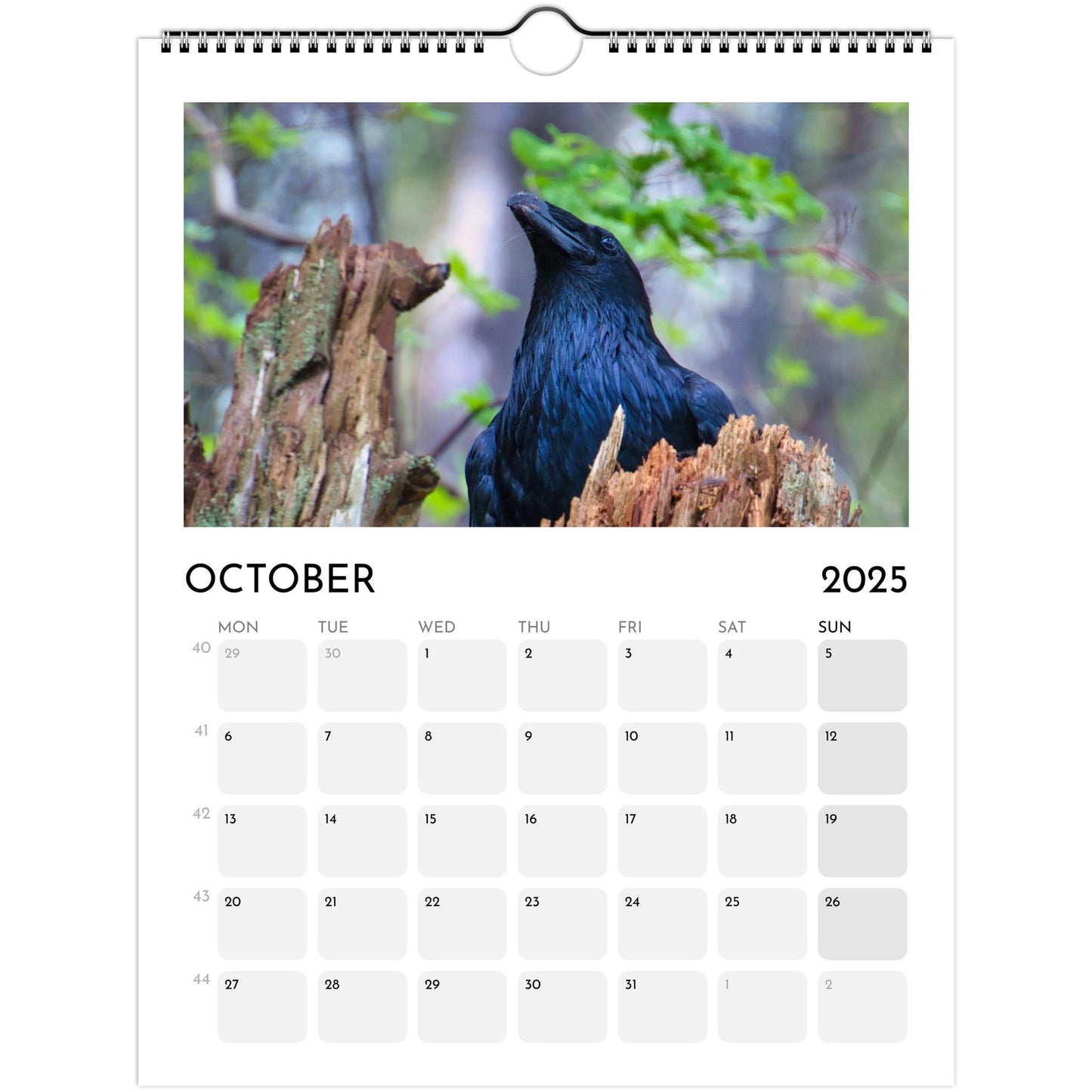 67e21033-3478-4c2a-91b1-811b8b2b0f3a