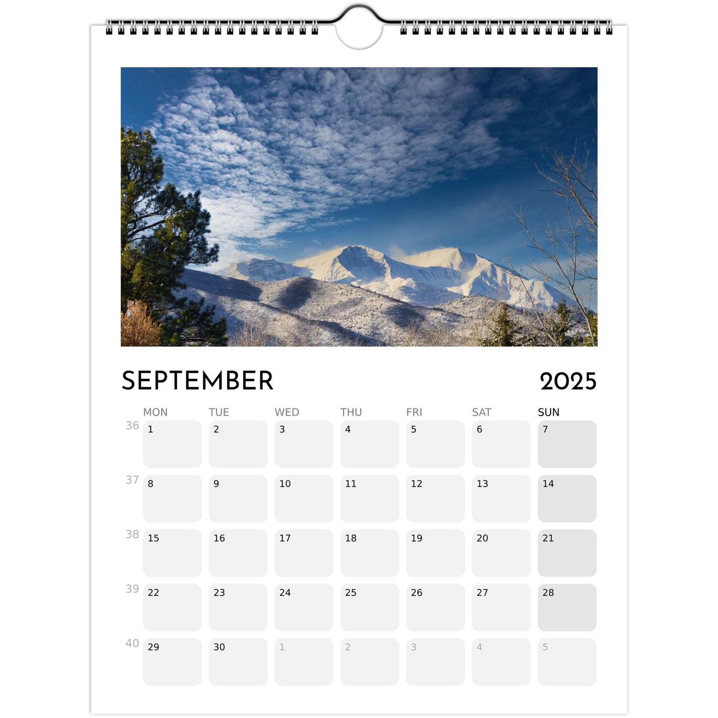 8aa4d686-a867-4d3c-b3e1-86167128fc2a