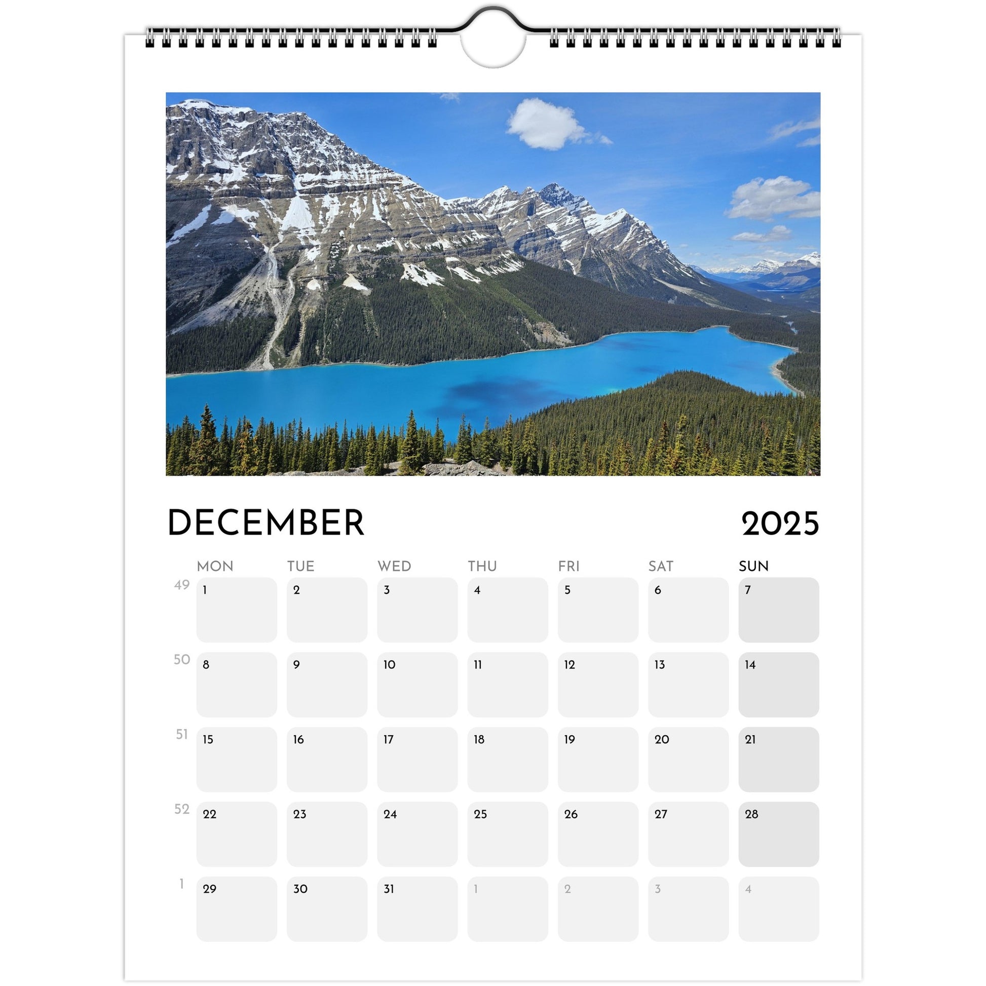 95b4f298-bf88-4e8d-9f92-504a20aefc41