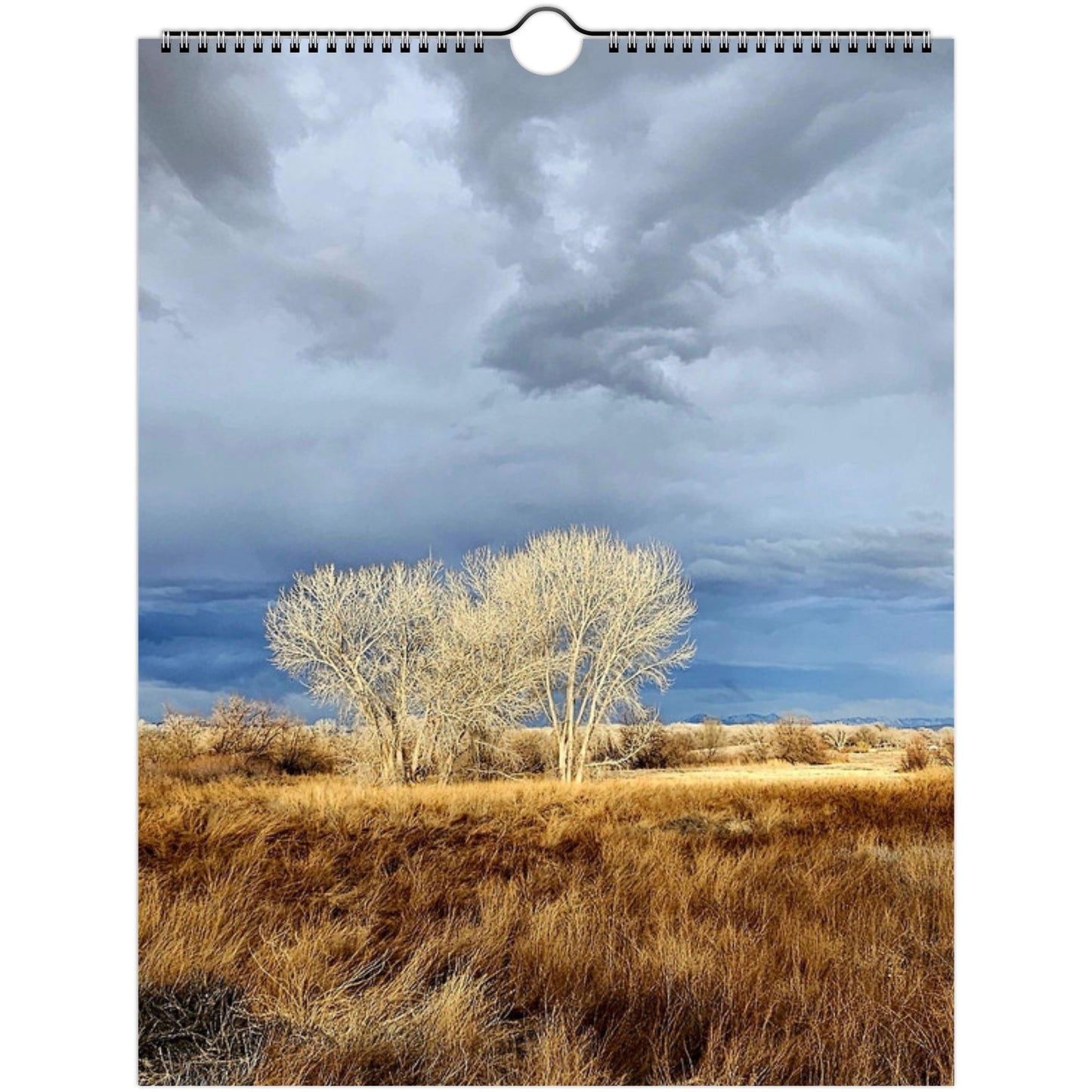 9bf9acc8-b78e-4d19-8ba6-ecf809a639fc