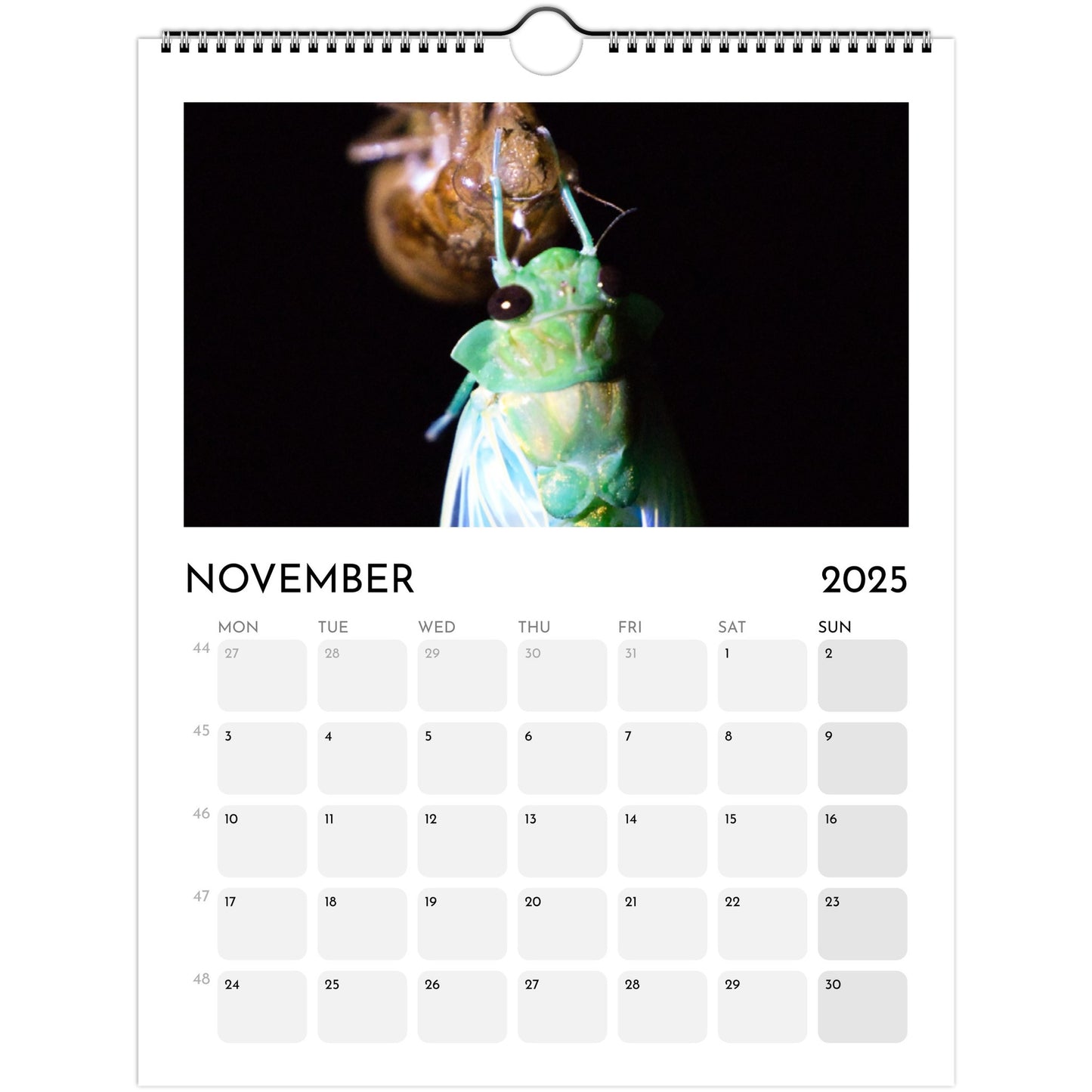 a08ed4e7-1350-4f4b-bc29-4e61e5deac1b