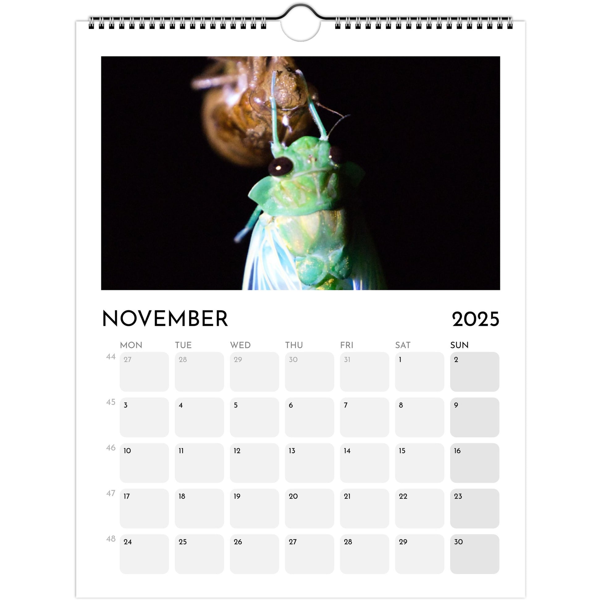 a08ed4e7-1350-4f4b-bc29-4e61e5deac1b