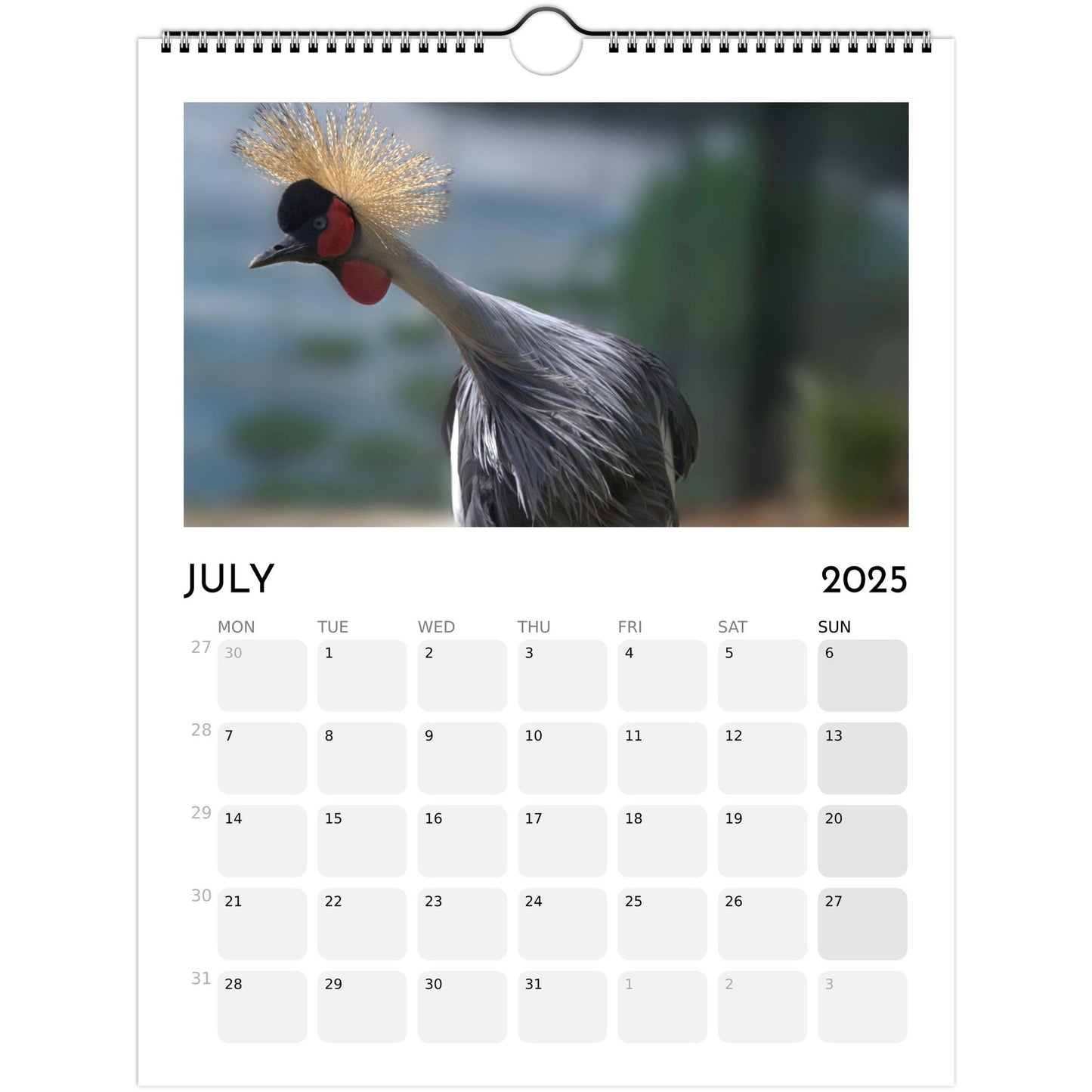 a836c1a0-c33c-49a7-bee1-d8ed74967035