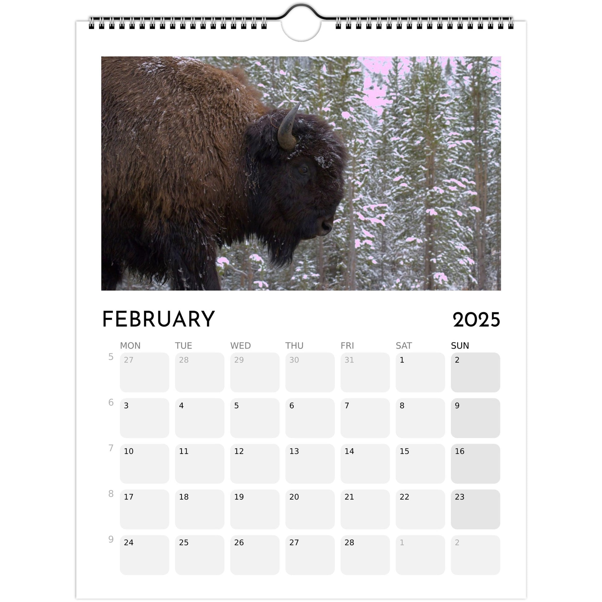 e032c763-c2db-4810-9145-d3369641b8e8