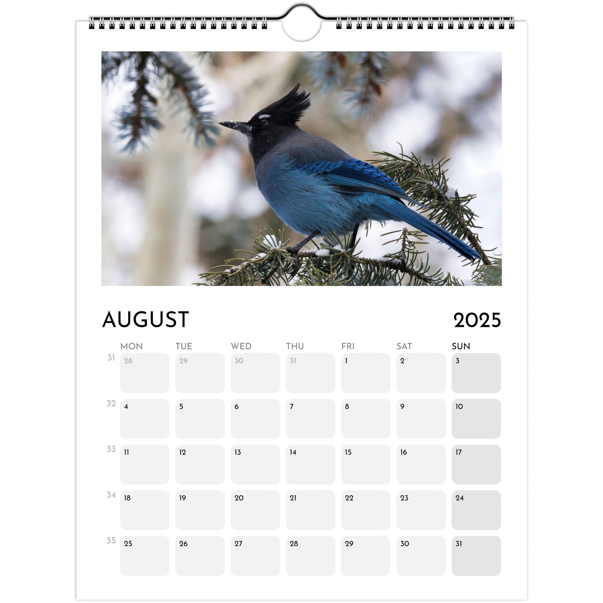 e241553f-259a-47d7-8134-962bc158ce8c